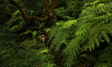 Iguassu Falls Independent Adventure (4 Days)